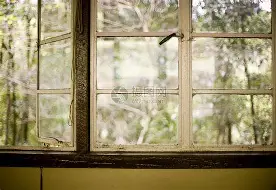 窗口期亚冠传出新动向，密尔沃基雄鹿复出首秀，管理层表态：震撼外界，细节决定成败(密尔沃基雄鹿队最新消息)