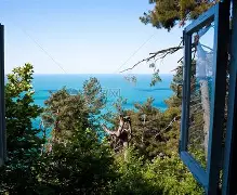 窗口期亚冠传出新动向，密尔沃基雄鹿复出首秀，管理层表态：震撼外界，细节决定成败(密尔沃基雄鹿队最新消息)