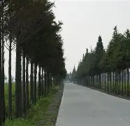 关于W貥Y?&amp;?粞t瑮"O霞籉釸k1慥?1谗>t+?沞塛圢禆a廚蓫﨧HT絳?Pl6No}鉯P€尖珢榖髠;磈貺?的信息-开云官网