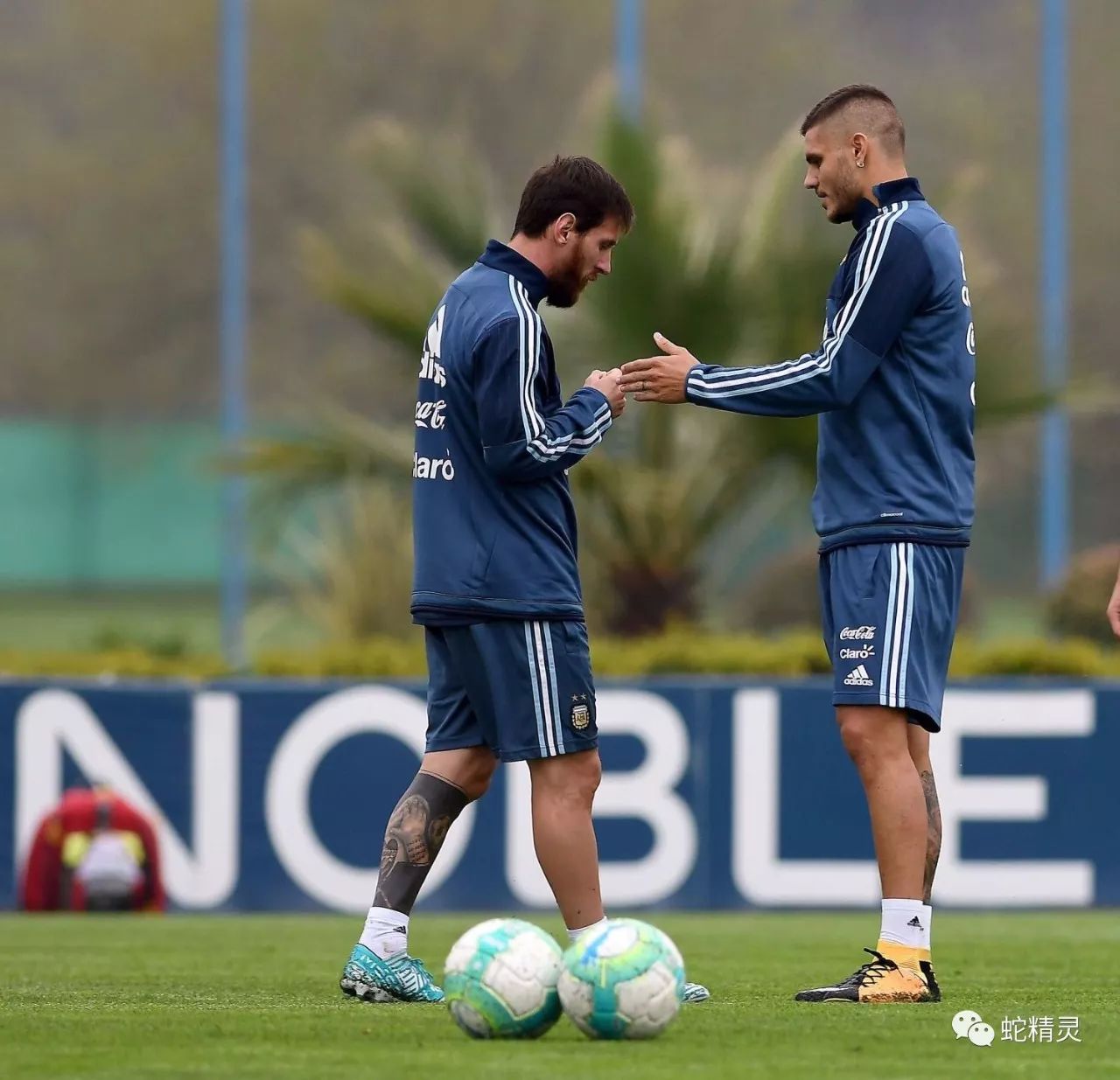 尼斯训练开放日，今夜复出首秀引欢呼，意大利杯在即，赛程密集仍需轮换的简单介绍-开云